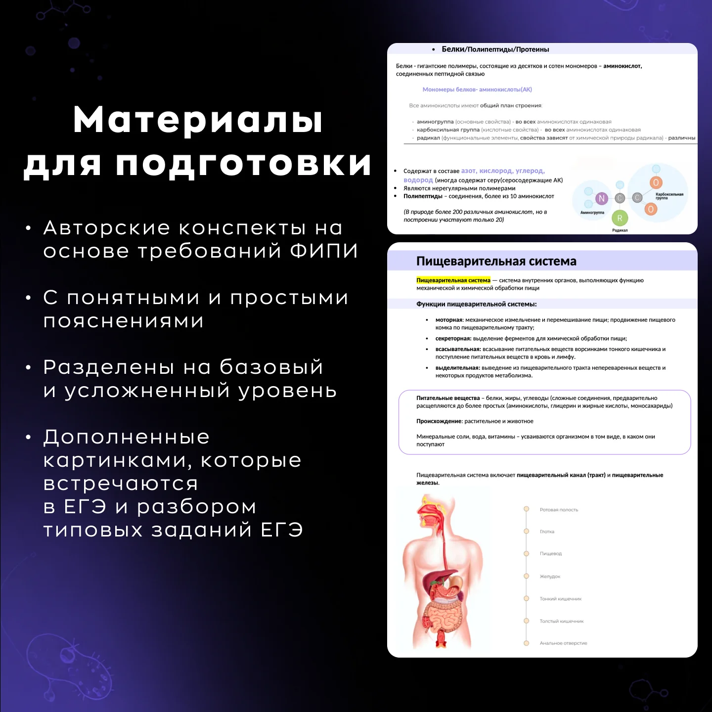Репетитор по биологии ЕГЭ - миниатюра 6