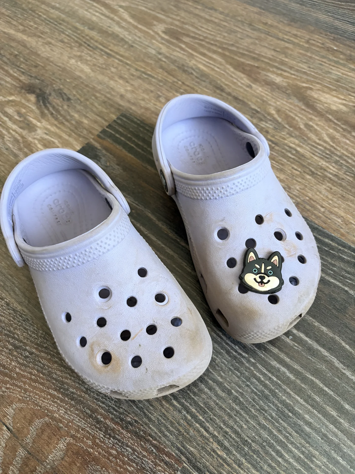 Crocs - изображение 1