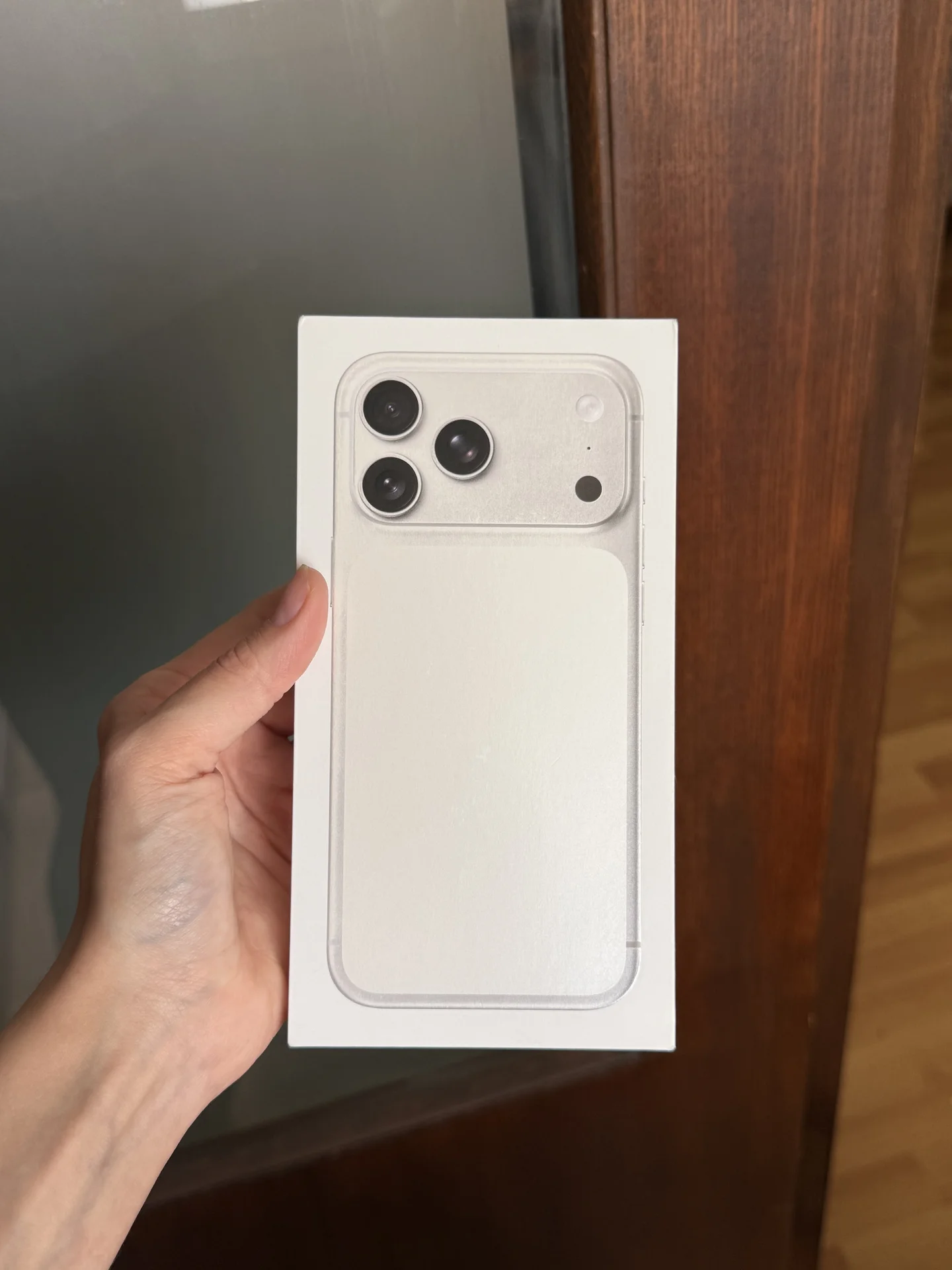 iphone 17 pro max 256 серебристый - изображение 1