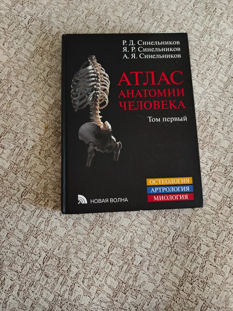 Атлас Синельникова 1 том анатомия - миниатюра 2
