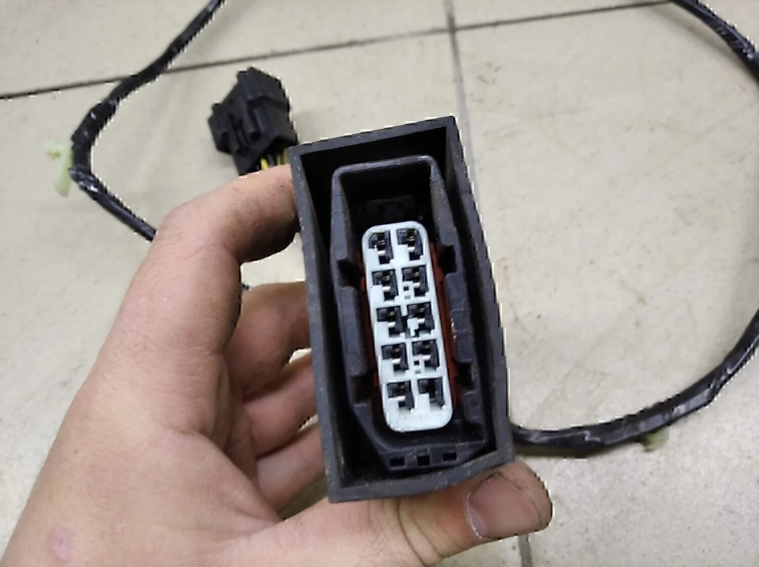 Проводка (коса) FORD Transit [FA] 2000-2006 - миниатюра 2