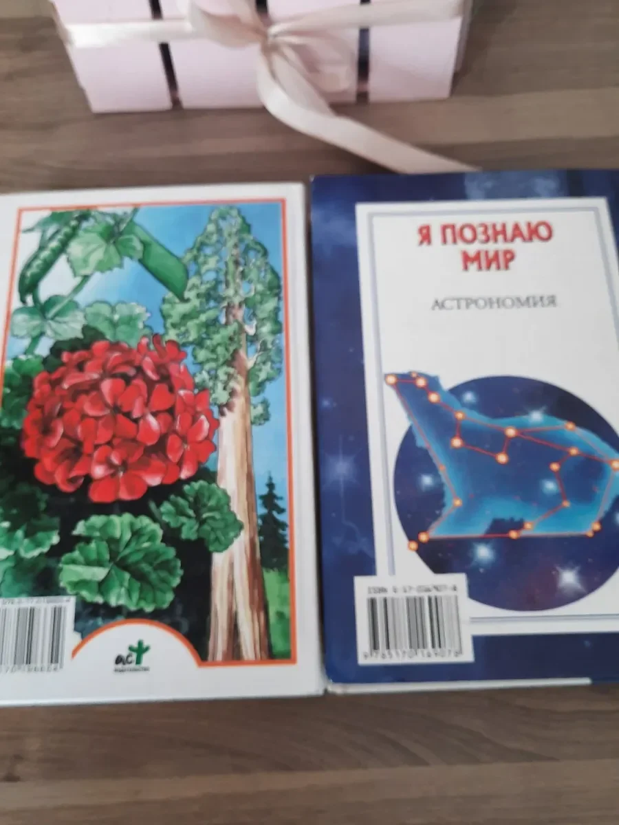 Книги "Я познаю мир", 2 шт. - миниатюра 2