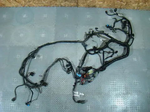 Проводка моторная Ford Kuga 2, 2.0 TDCi DW10C (UFDA/UFMA/TXDA/TXMA) МКПП, 1834396, б/у