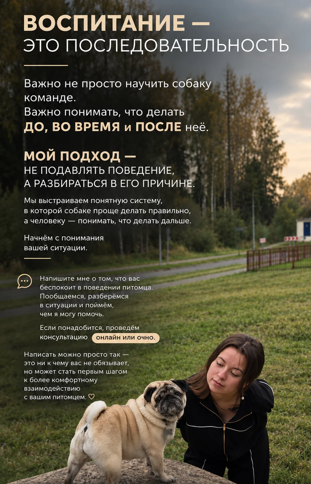 Дрессировка и воспитание собак / Выгул - миниатюра 2
