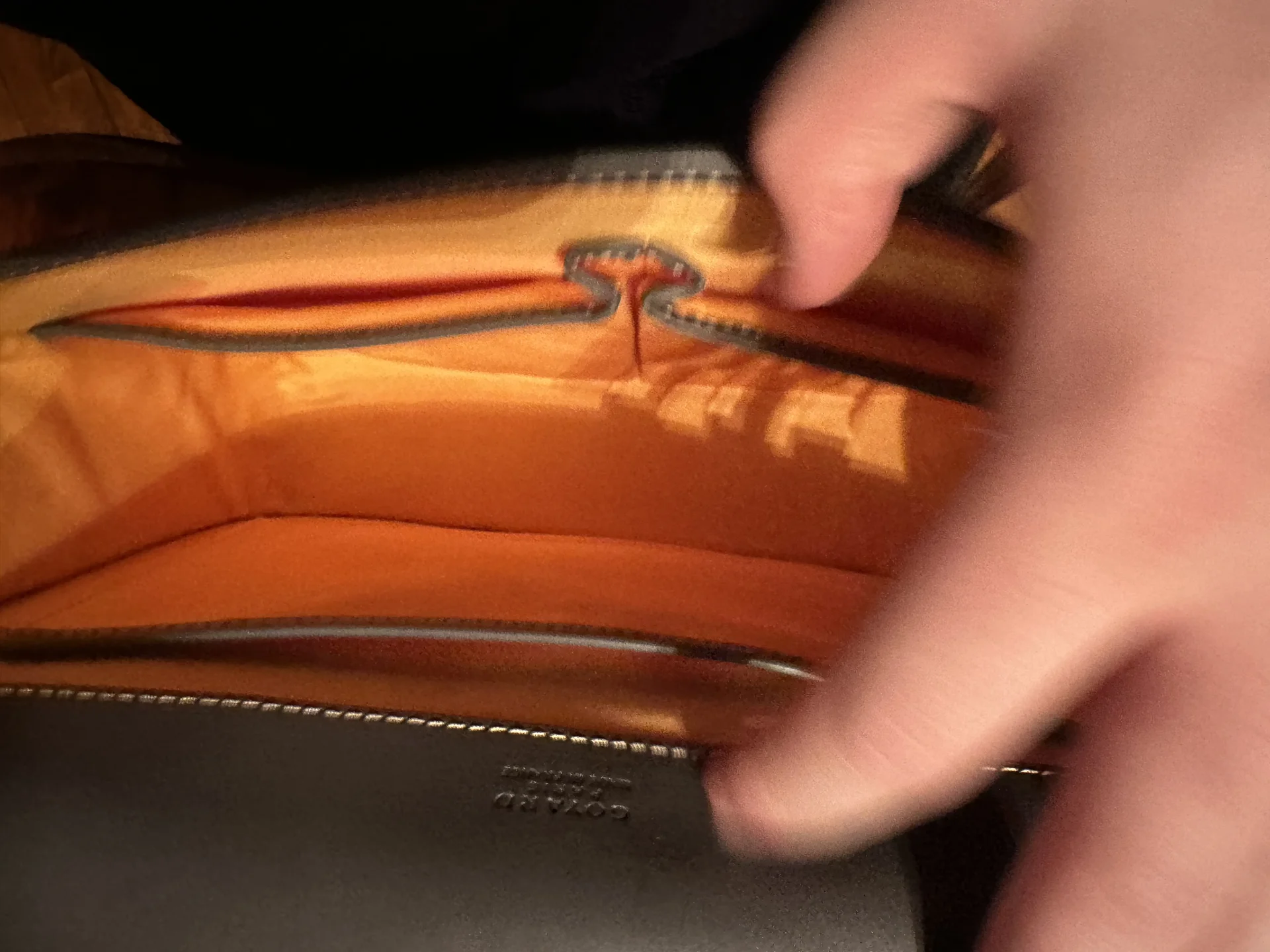 Сумка Goyard Оригинал - миниатюра 6