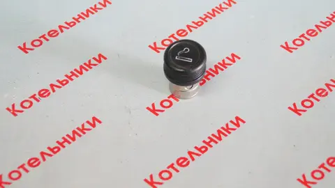 Nissan 25335-AV60A Прикуриватель