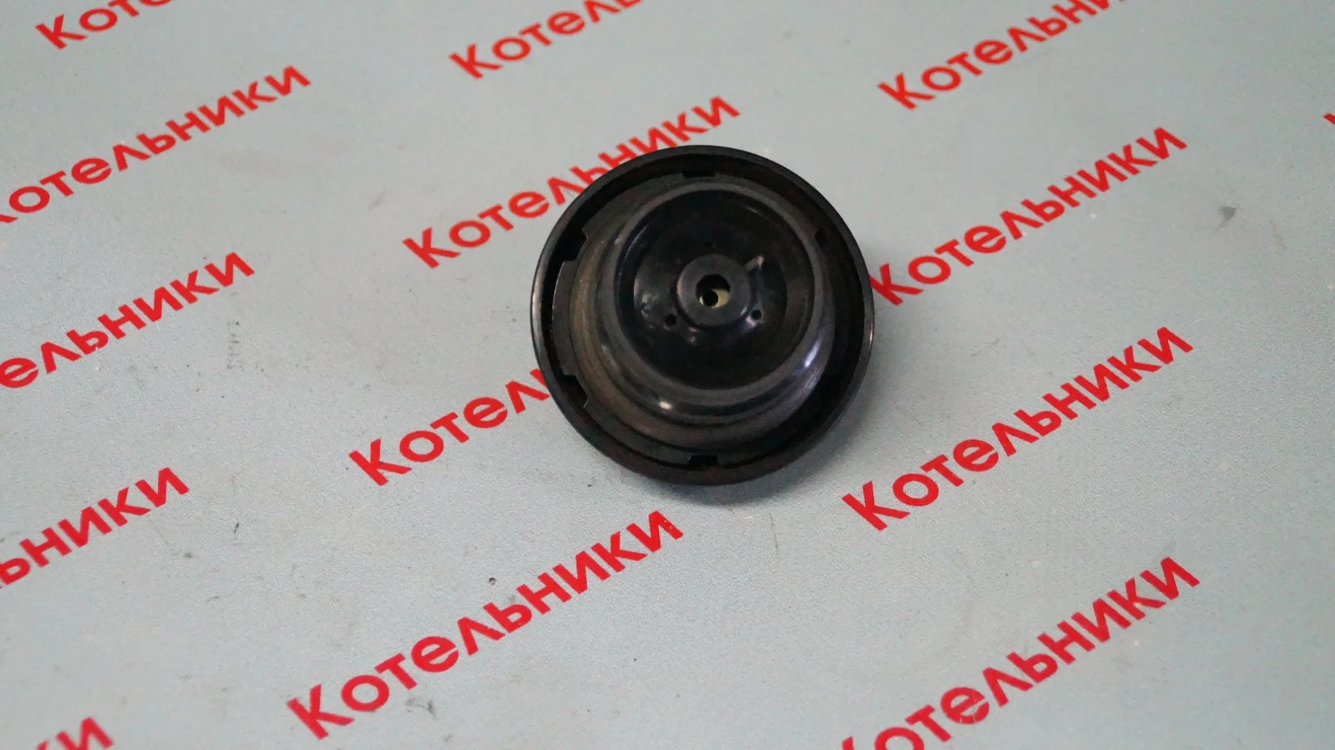 Nissan 17251-79910 Крышка бензобака - миниатюра 3