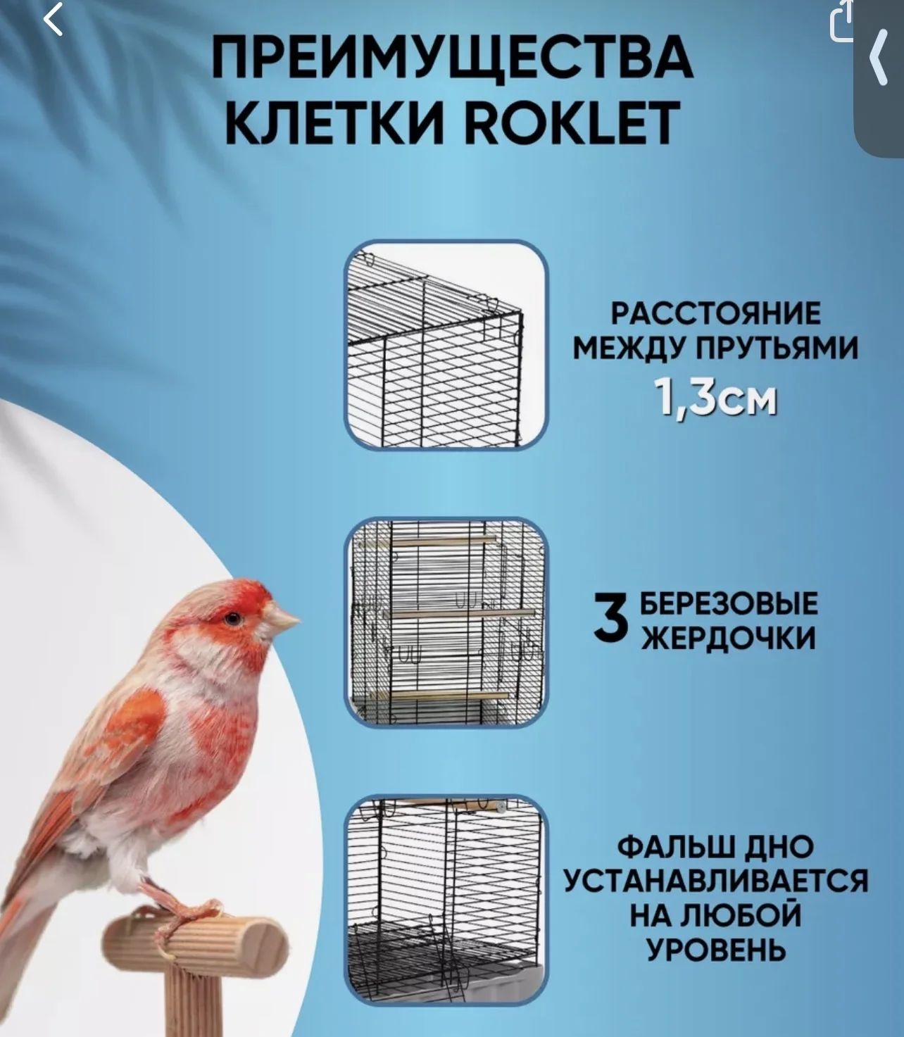 клетка для попугая большая - миниатюра 2