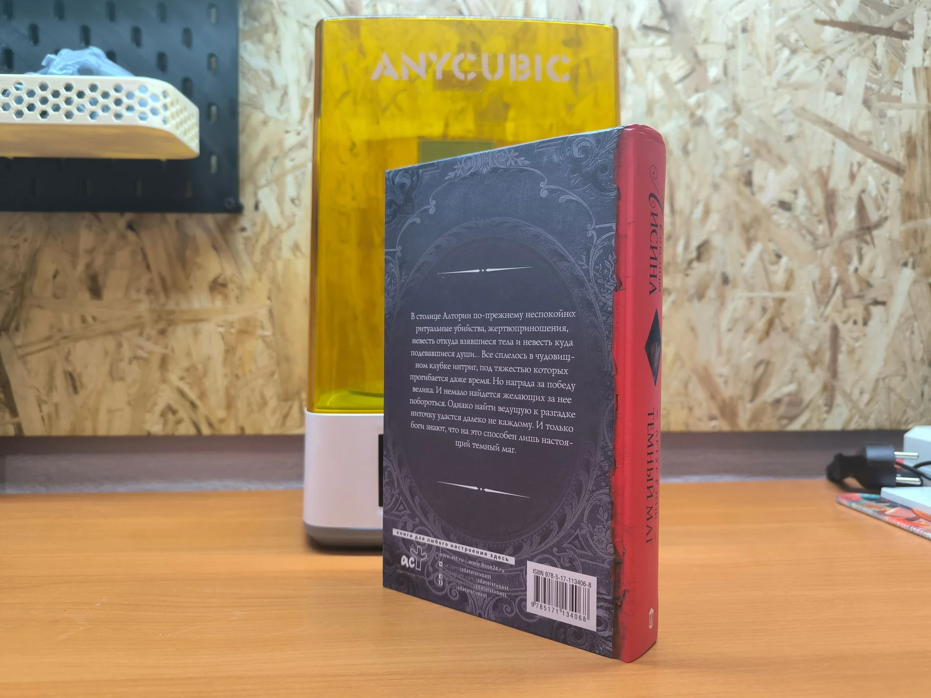 Александра Лисина «Артур Рэйш: Темный маг» - миниатюра 4