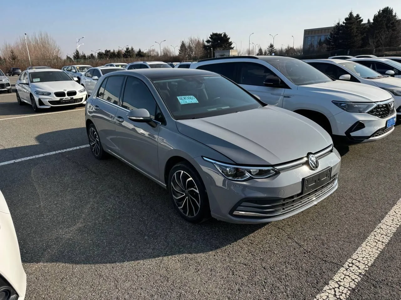 Volkswagen Golf - изображение 1