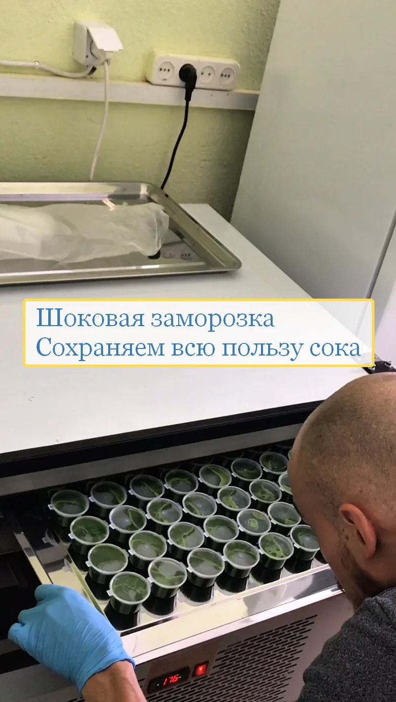 Витграсс замороженный Калининград | чистая энергия с утра | 15/30/60 капсул - миниатюра 3