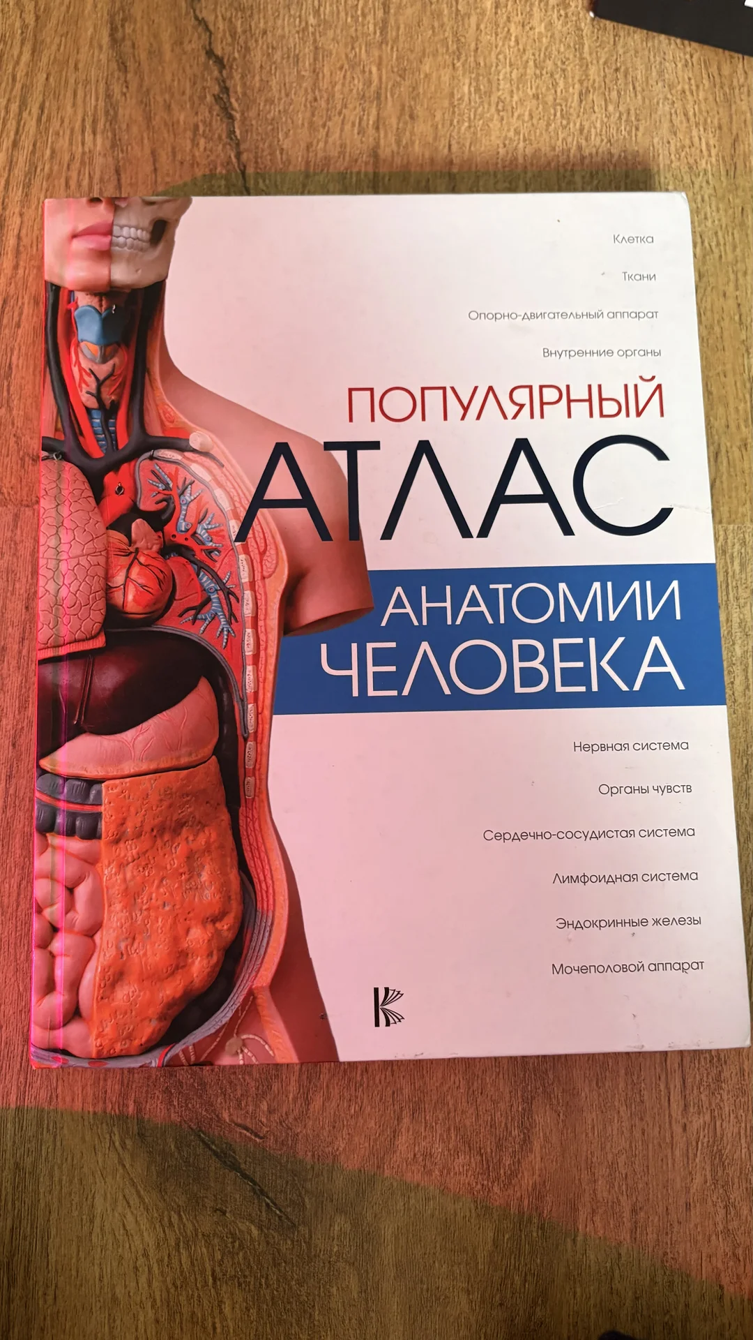 Популярный атлас анатомии человека - изображение 1