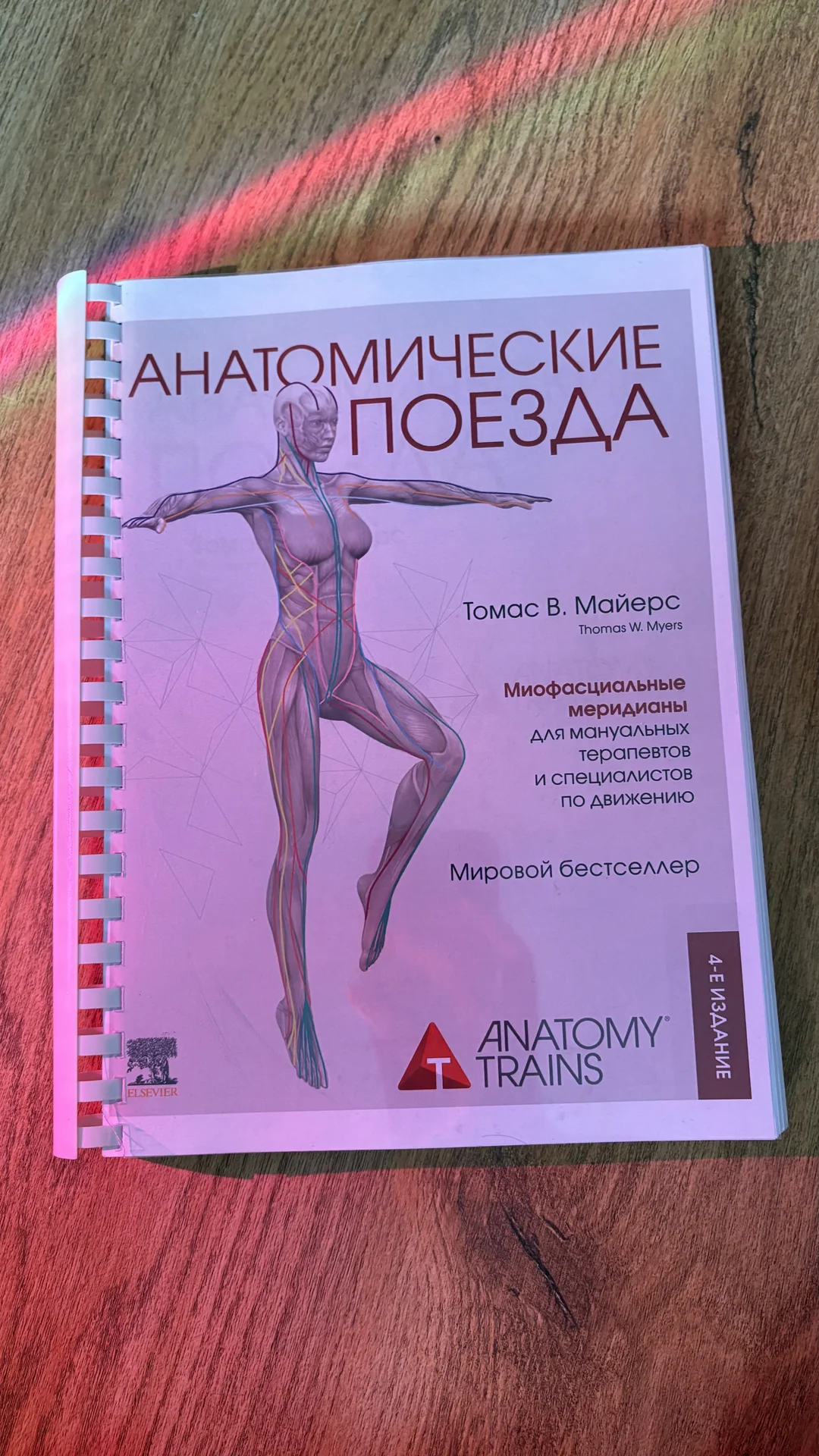 Анатомические поезда - изображение 1