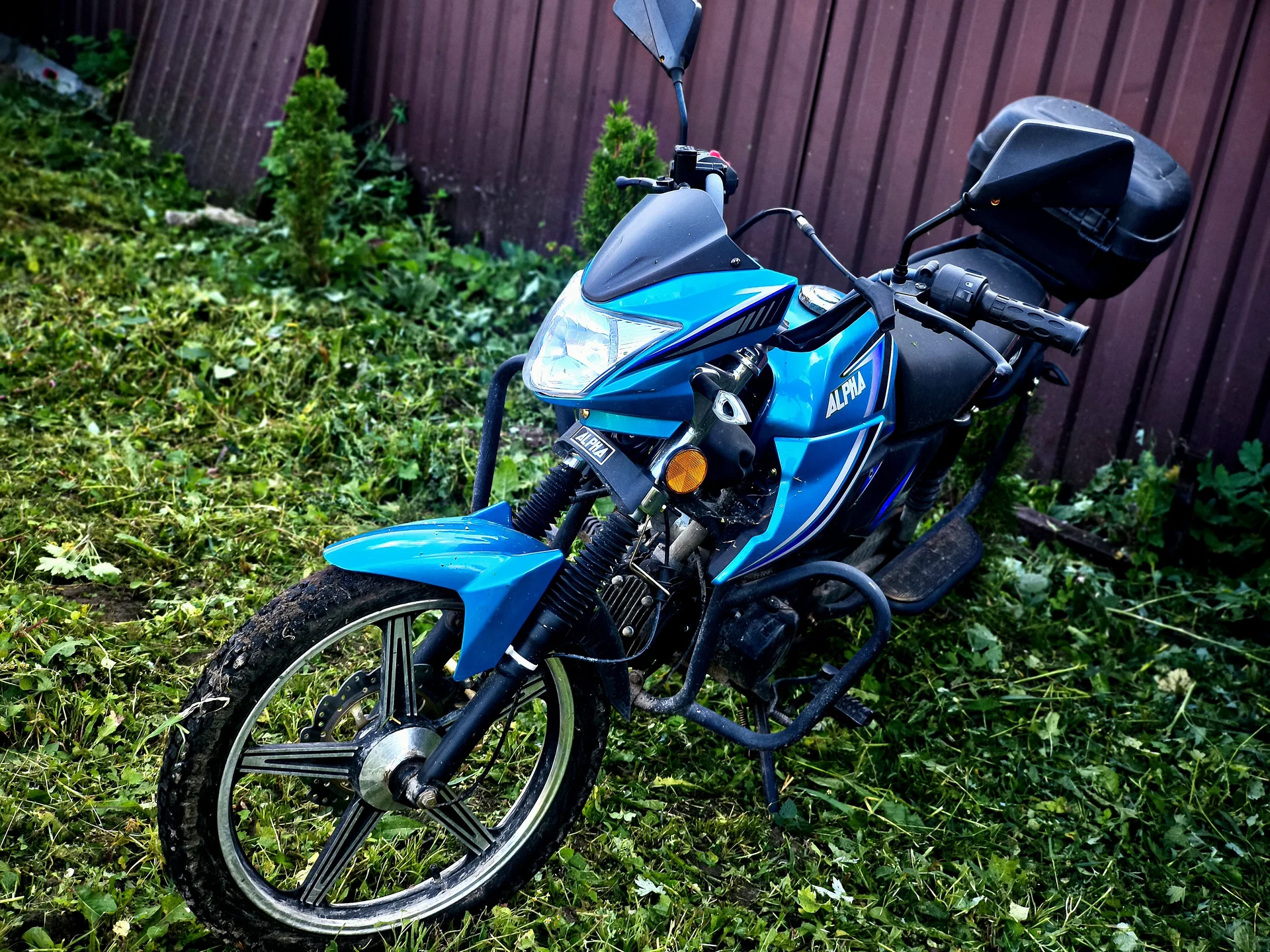 Alpha RS11 - миниатюра 2