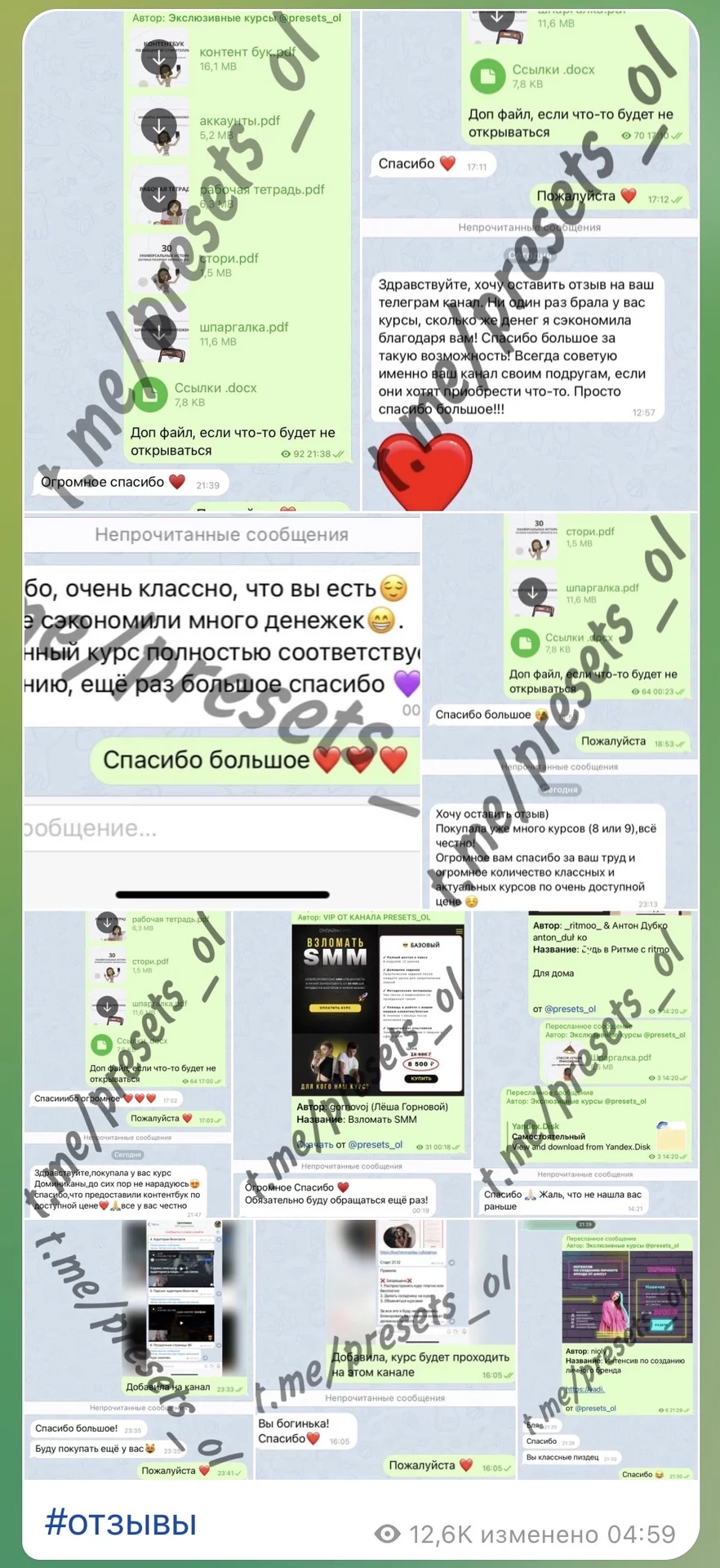 Сливы курсов блогеров - миниатюра 3