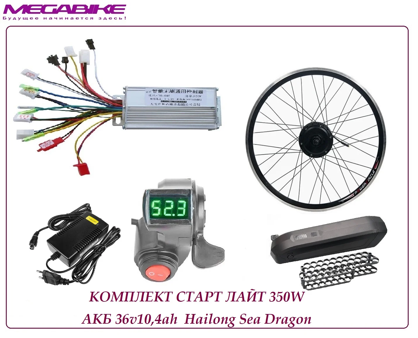 Мoтoр-кoлеco sjbike 250/350W + АКБ 36v 10,4ah - изображение 1