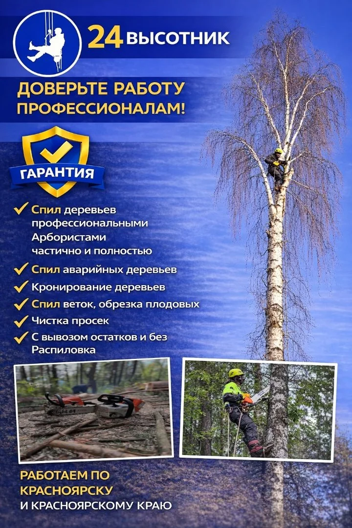 Спил деревьев, обрезка веток. - миниатюра 2