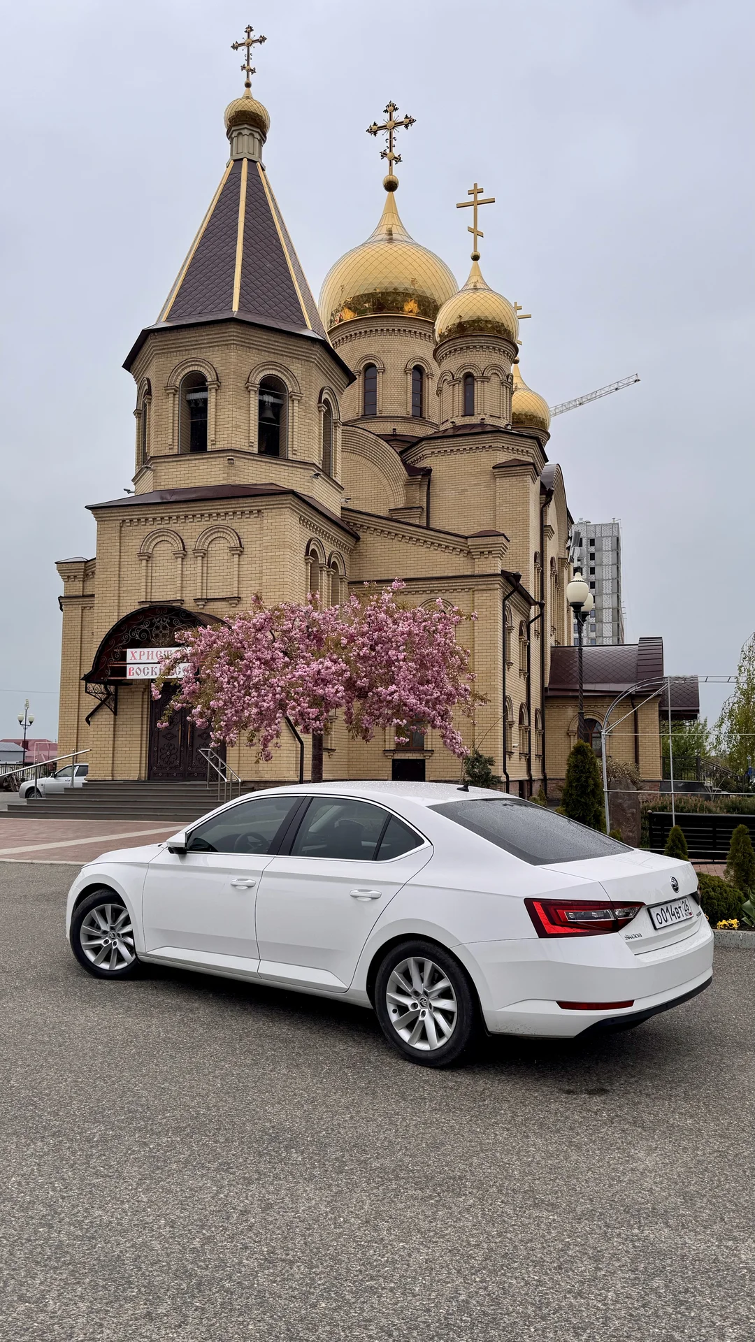 Колеса skoda зимние на Vag - изображение 1