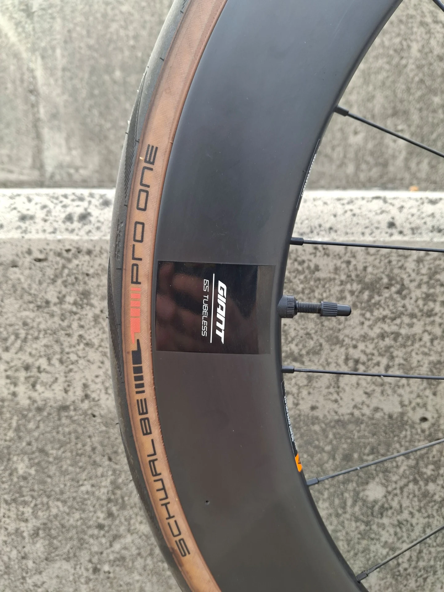 Giant Propel Advanced Disk - миниатюра 9