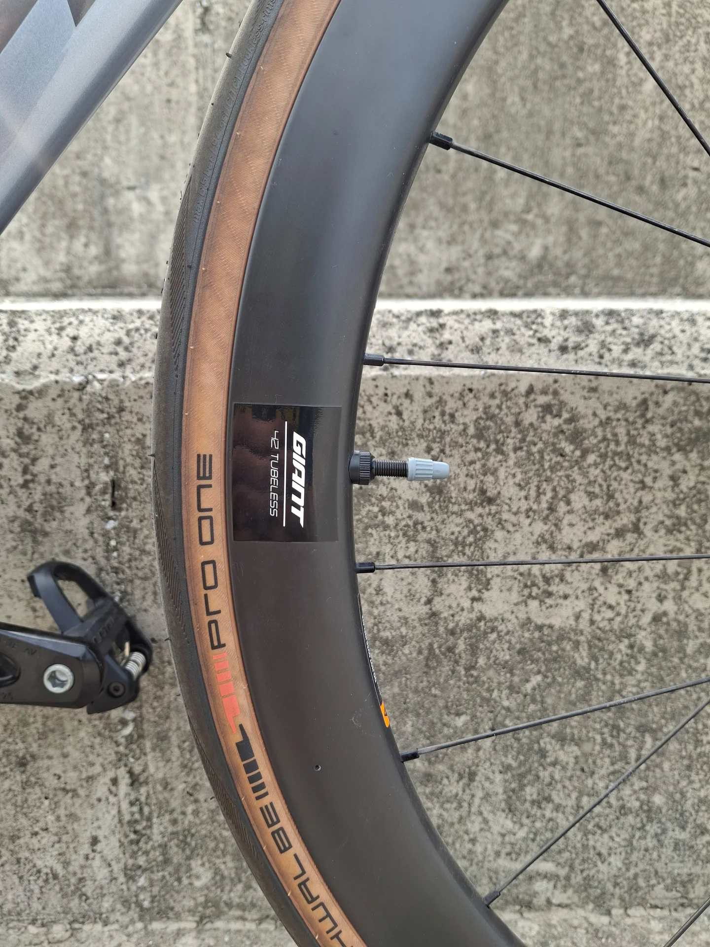 Giant Propel Advanced Disk - миниатюра 10