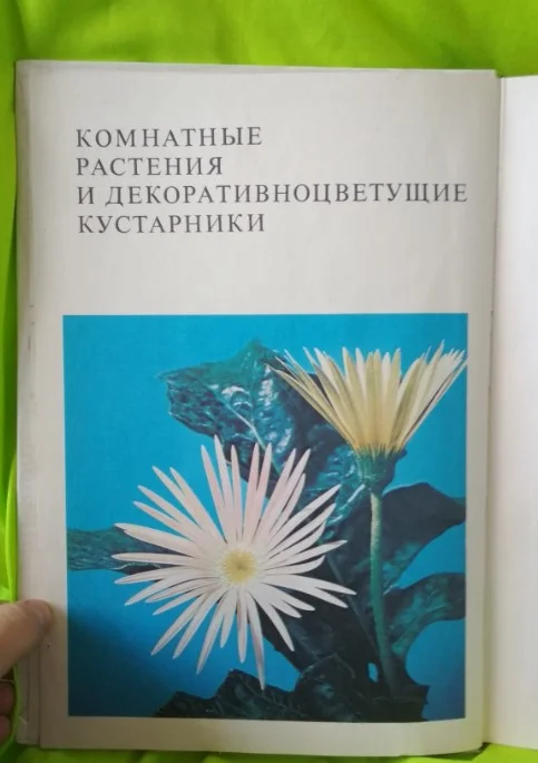 Книга Комнатные растения и декоративные кустарники 1978 - миниатюра 2