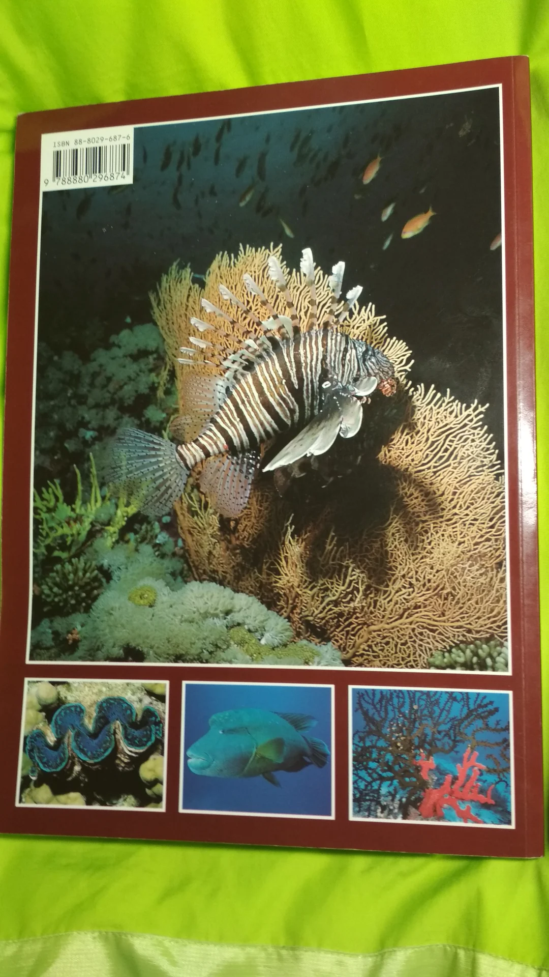 Красное море русское издание - миниатюра 6