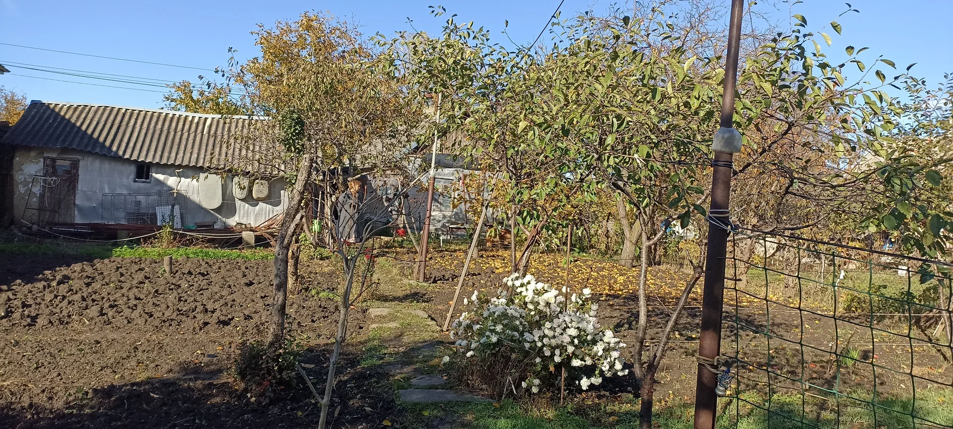 Продам дачу - изображение 1