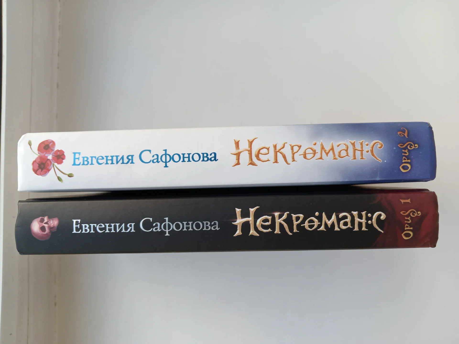 Некрооманс Евгения Сафонова - миниатюра 2