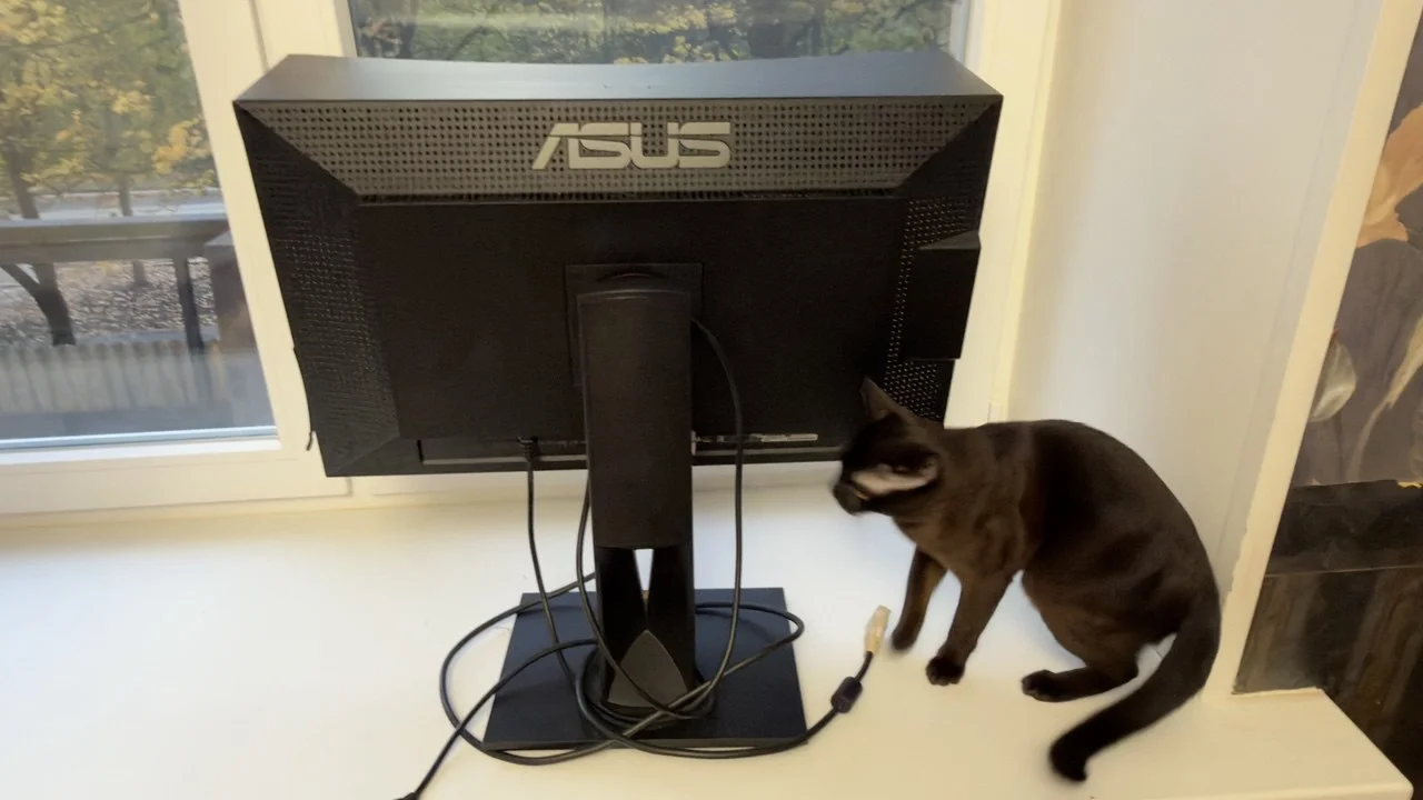 Asus PA279Q 27” IPS, 25601440 - миниатюра 3