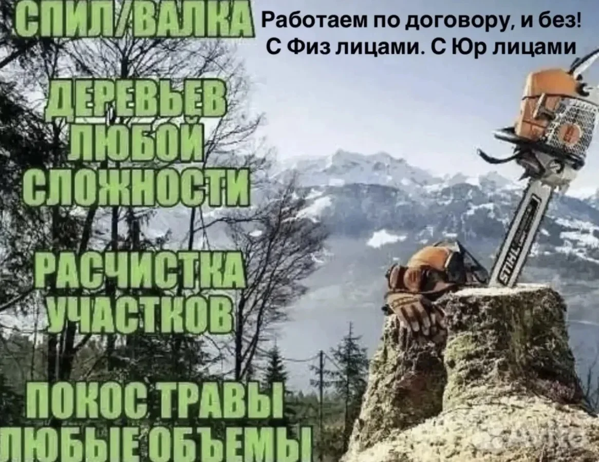 Спил деревьев. Расчистка участка Спилить дерево - изображение 1