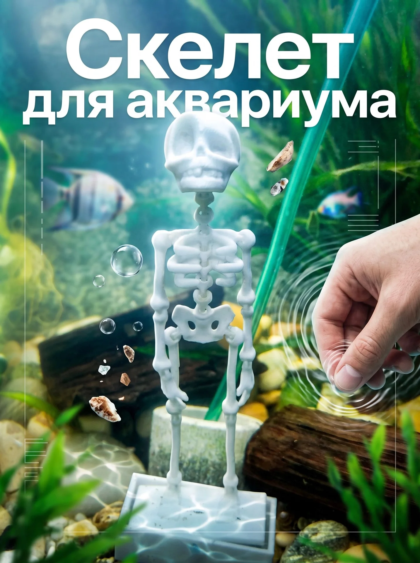 скелет для аквариума - изображение 1