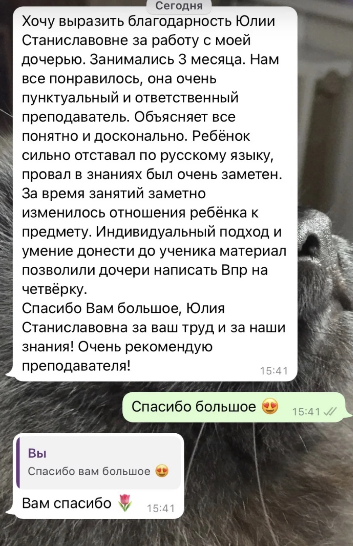 Репетитор - миниатюра 7