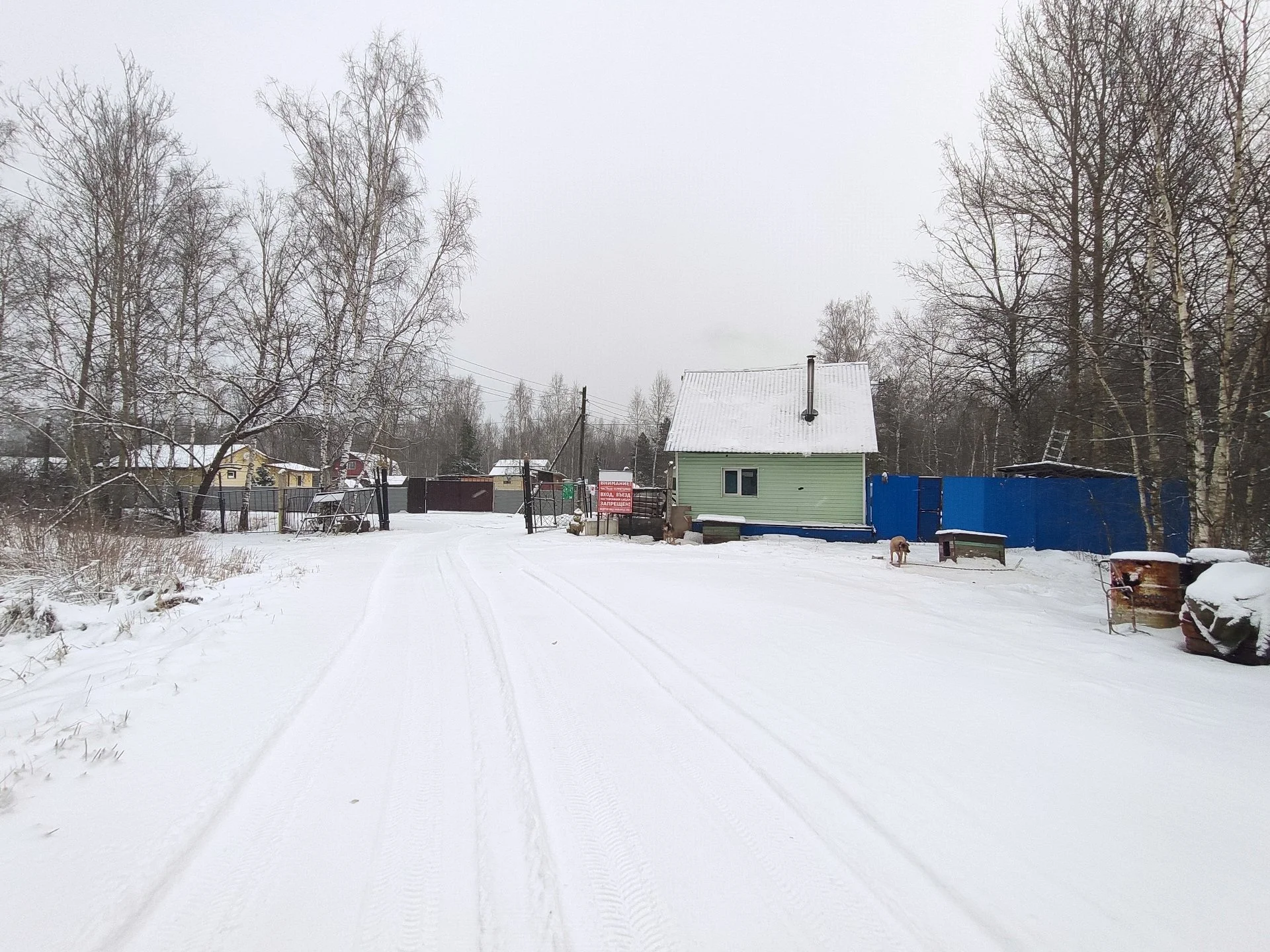 Продам земельный участок в г.о Шатура Московская область, цена ниже рынка - миниатюра 10