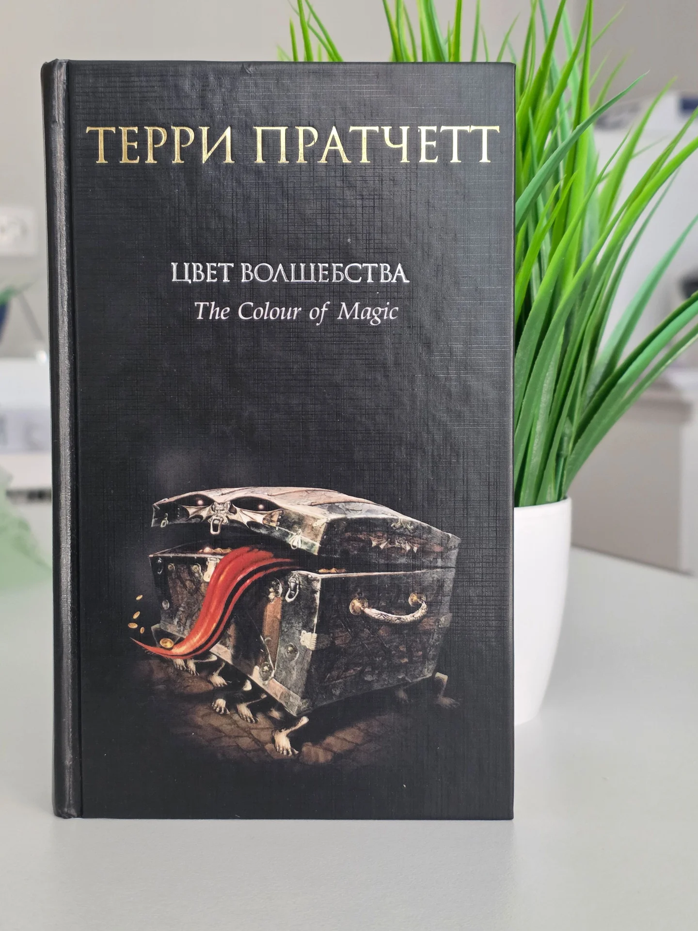 Книга Цвет волшебства - изображение 1