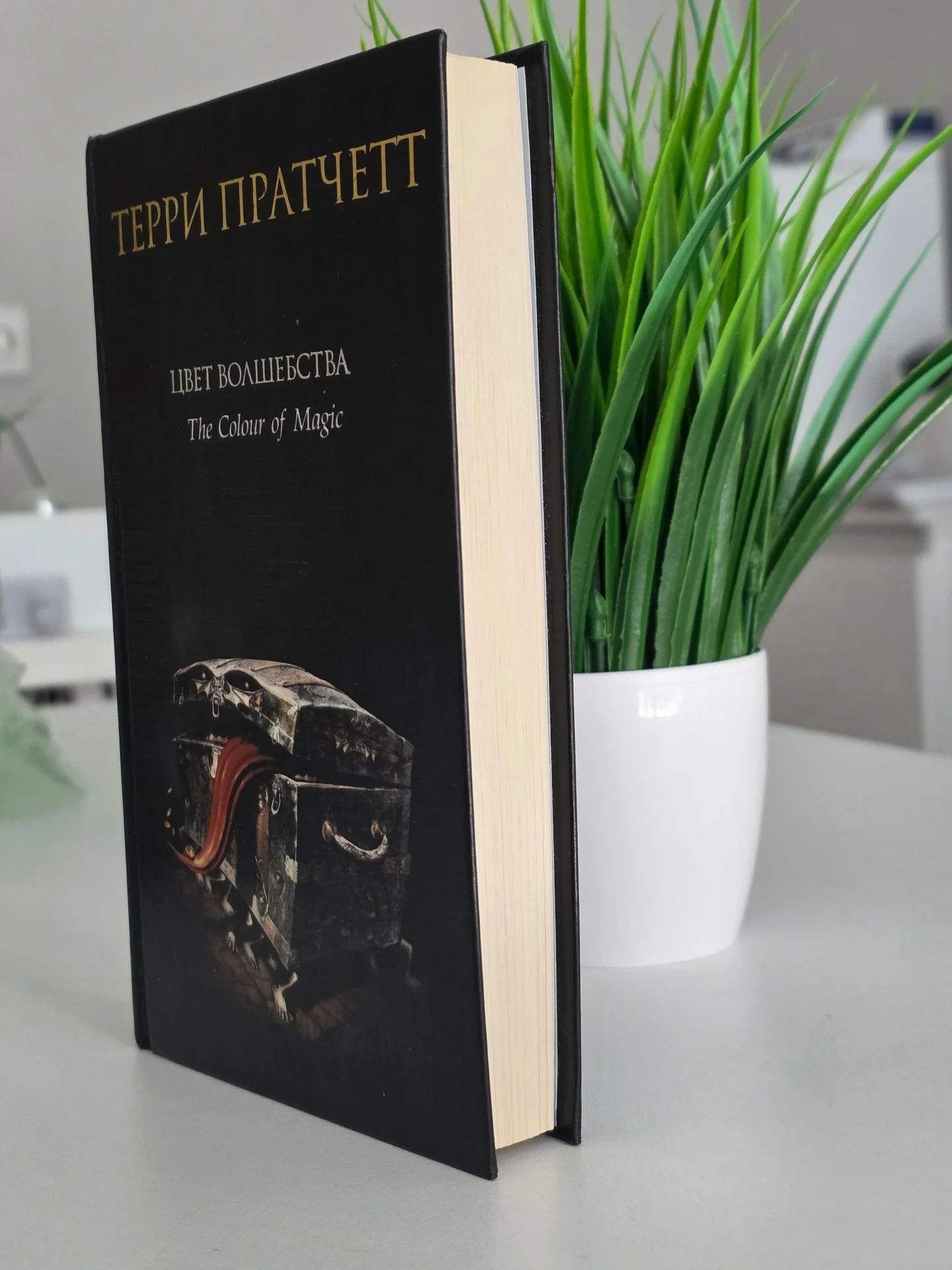 Книга Цвет волшебства - миниатюра 2