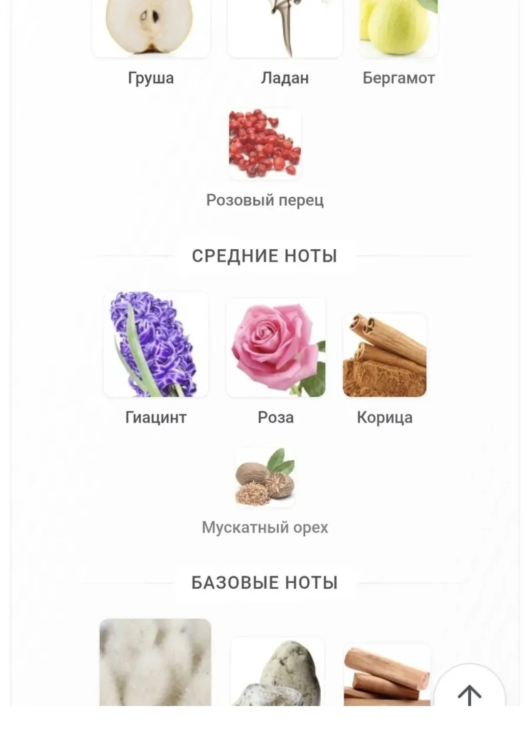 Pure Diamond The House of Oud - миниатюра 7