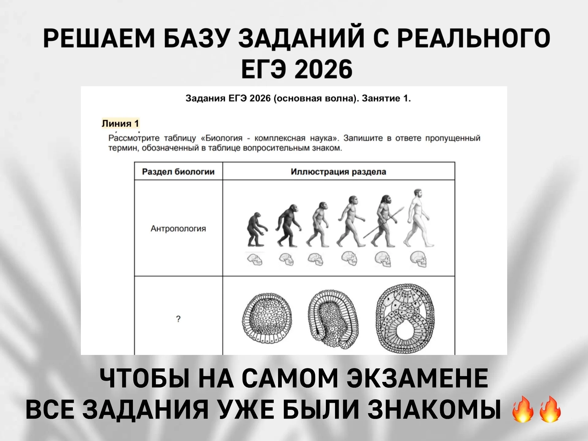 Опытный репетитор по биологии ЕГЭ - миниатюра 2