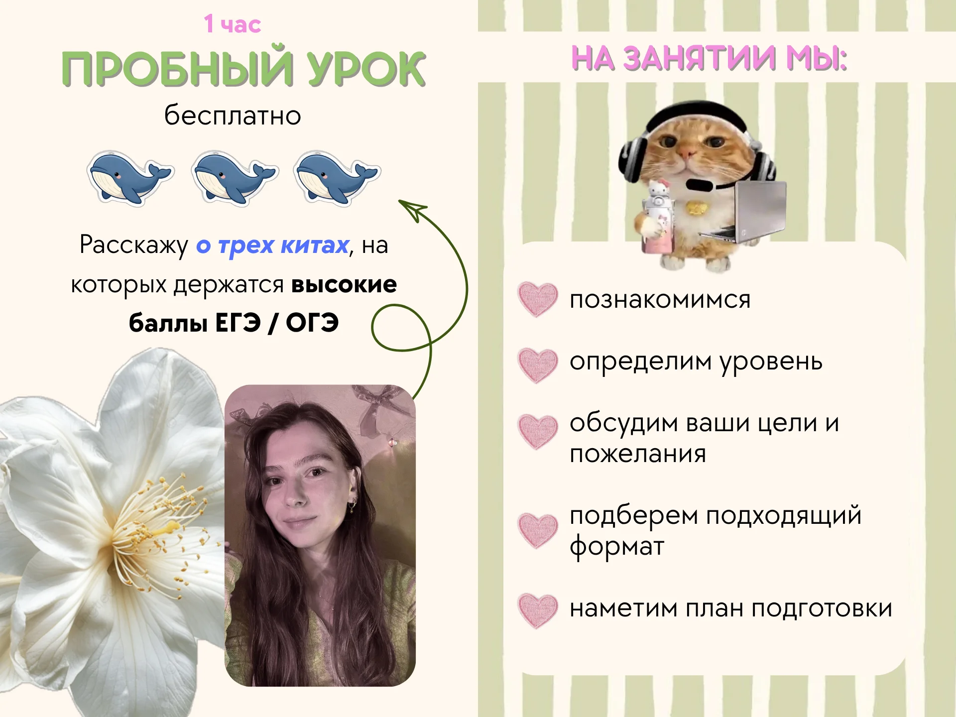 Репетитор по английскому ЕГЭ ОГЭ - миниатюра 7