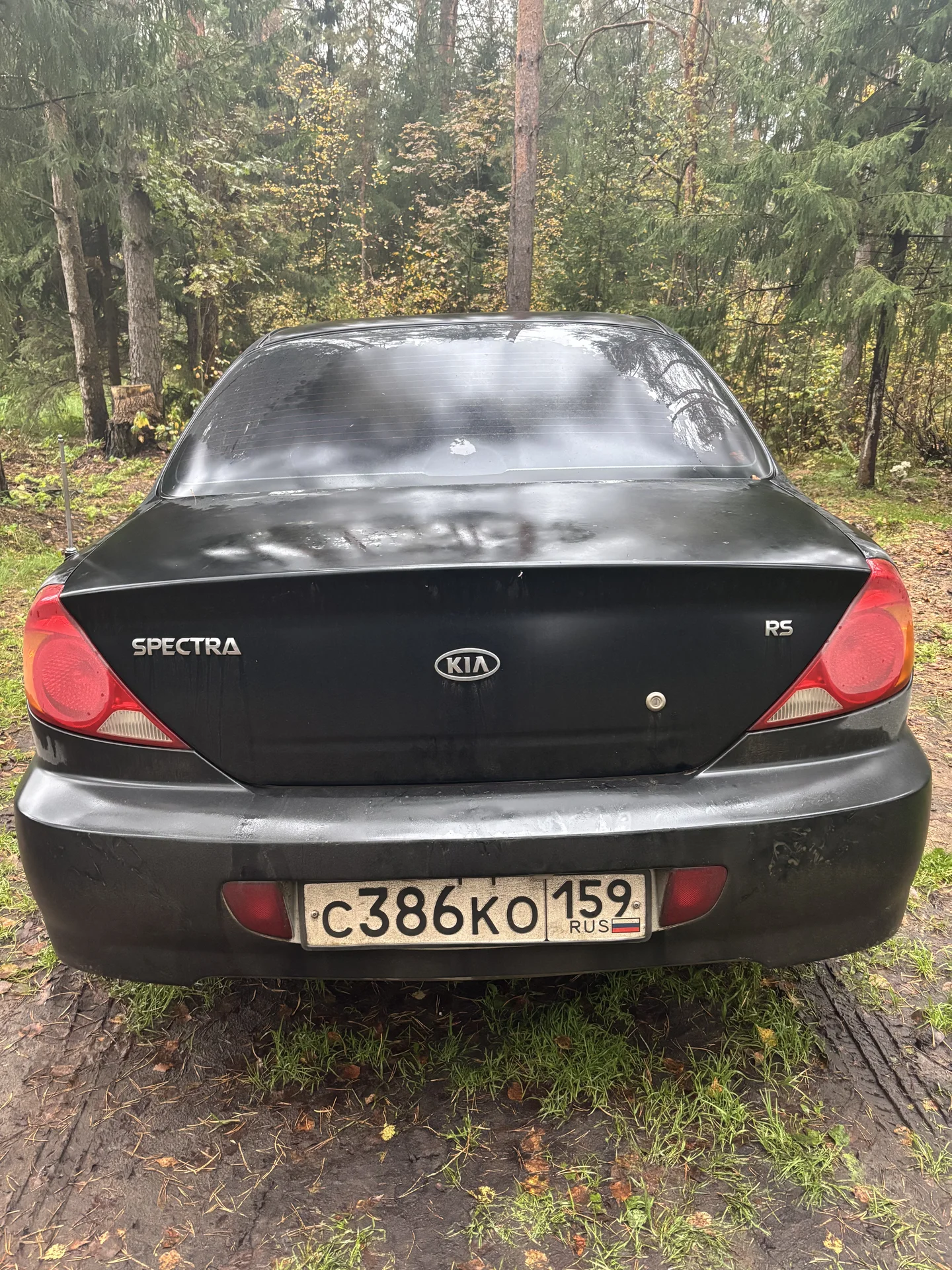 Kia Spectra, 2007 - миниатюра 4