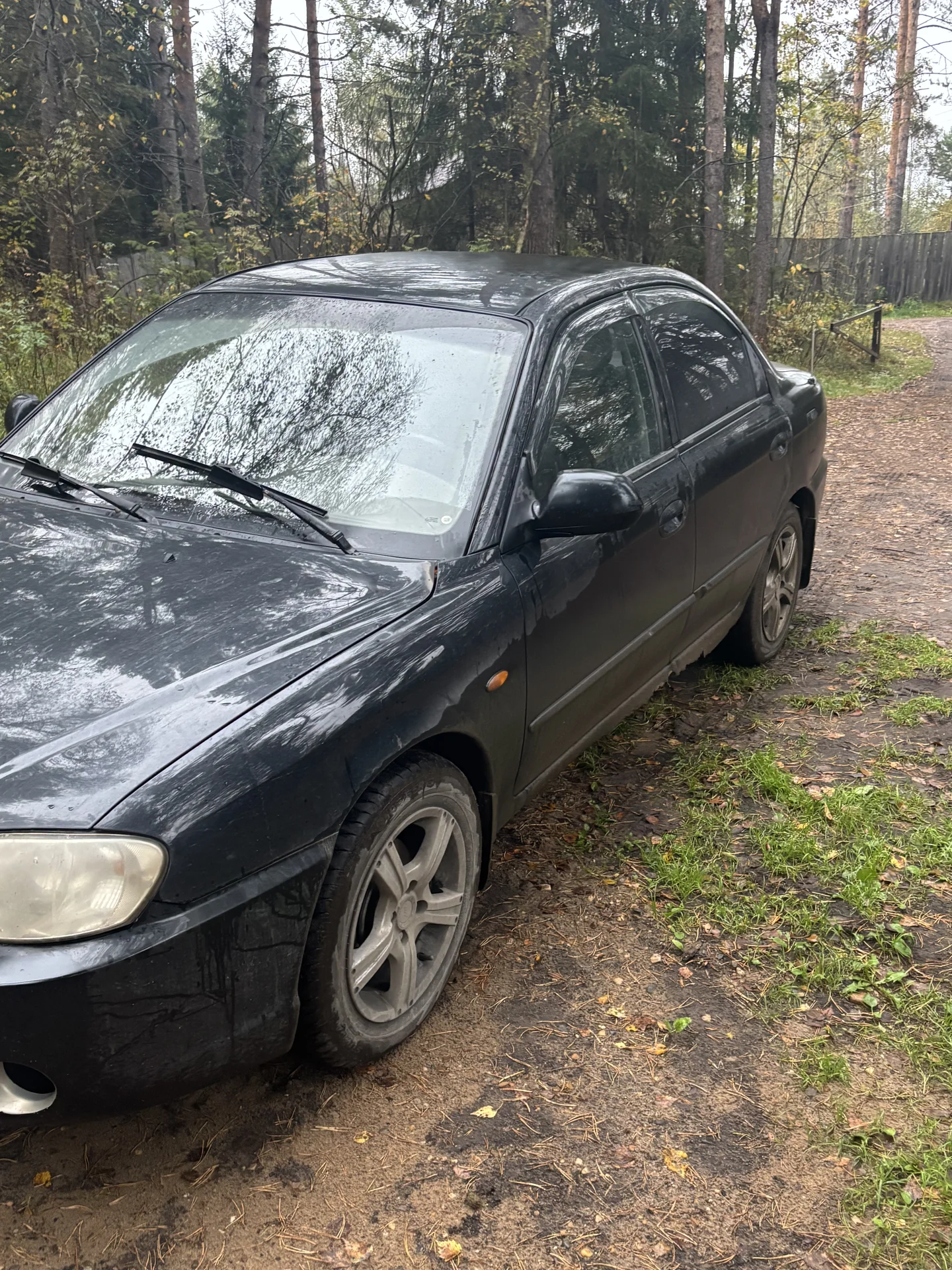 Kia Spectra, 2007 - миниатюра 5
