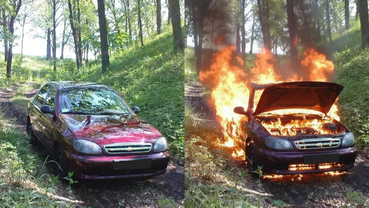Приеду в гости и дам все нейросети за 1кг курицы - миниатюра 9
