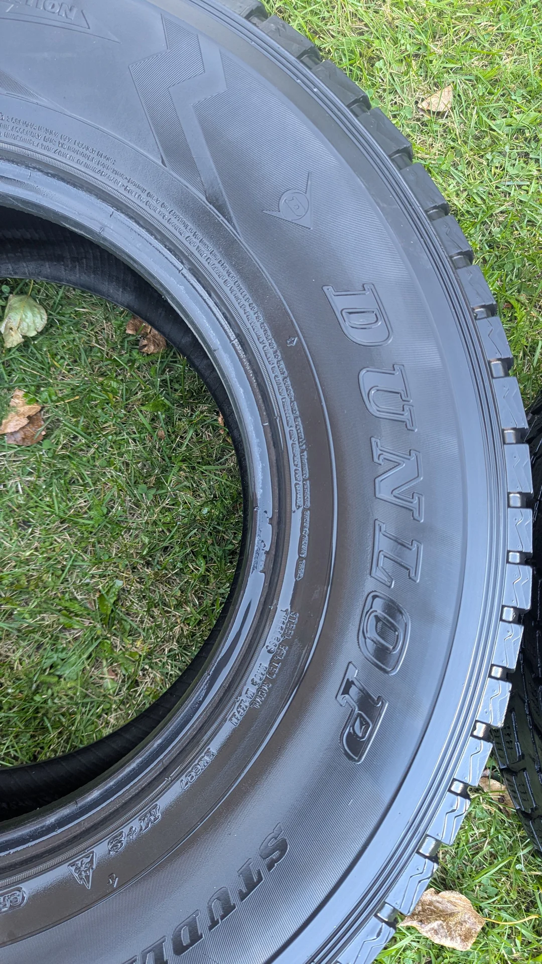 шины Dunlop - изображение 1