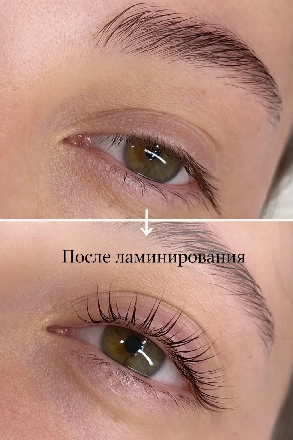 Бровист | Архитектура, окрашивание и ламинирование - миниатюра 6
