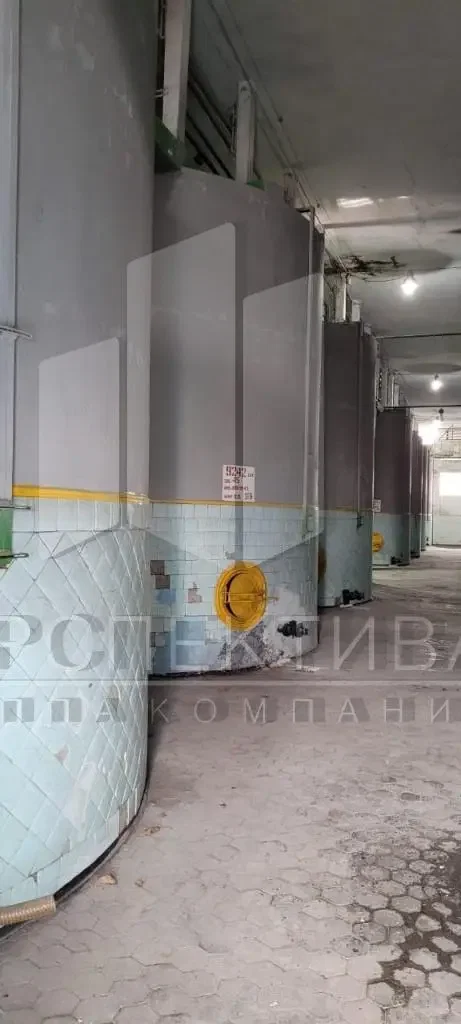 В продаже действующий винзавод - миниатюра 6