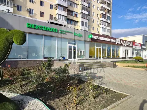 Помещение 274 м2