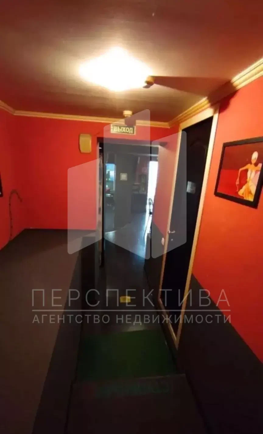 ПСН 167 кв в Южном районе - миниатюра 7