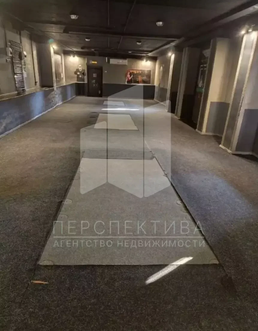 ПСН 167 кв в Южном районе - миниатюра 8