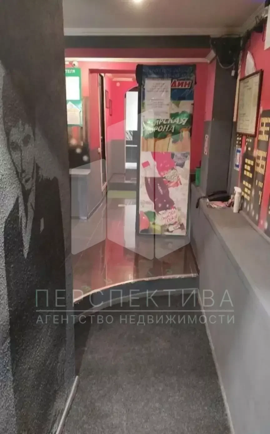 ПСН 167 кв в Южном районе - миниатюра 9