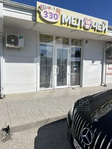 Аренда 105 м² в торговом центре — Борисовка