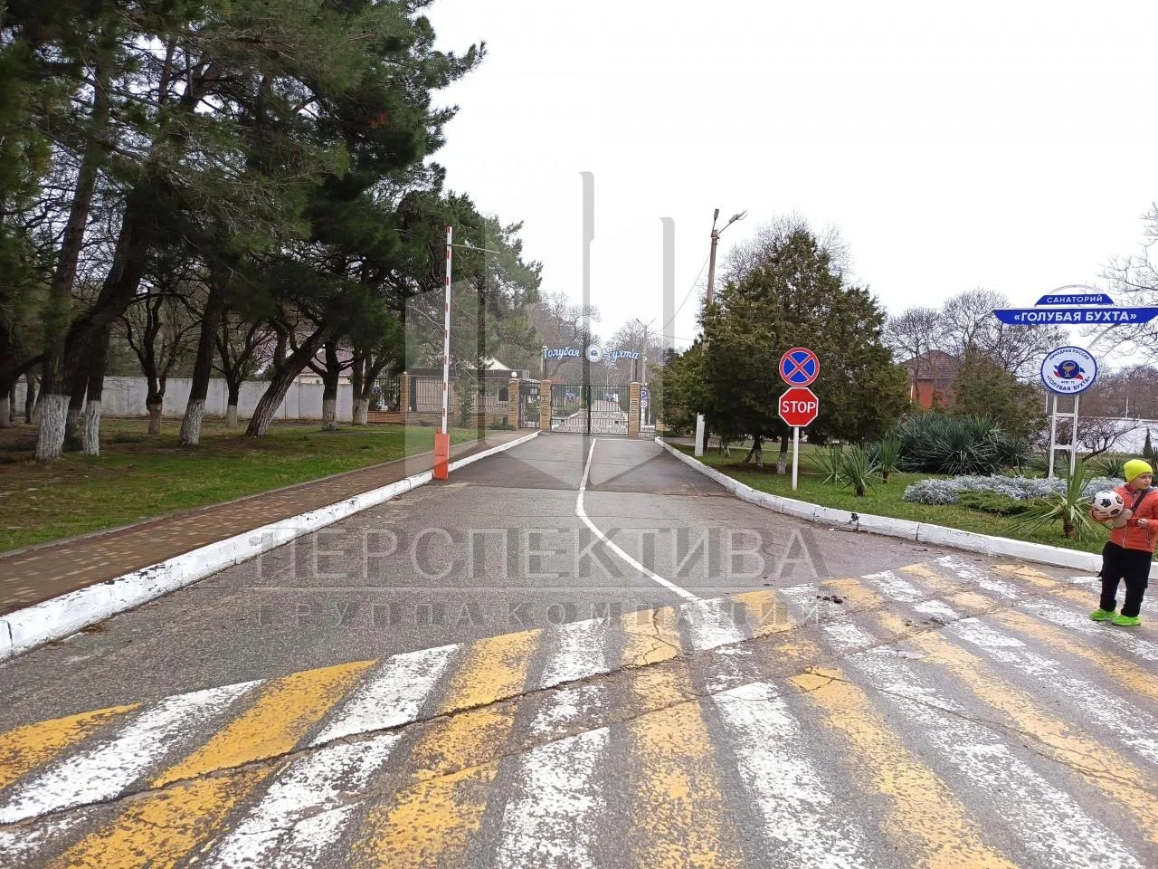 Торговая площадь 302 м2 - миниатюра 3